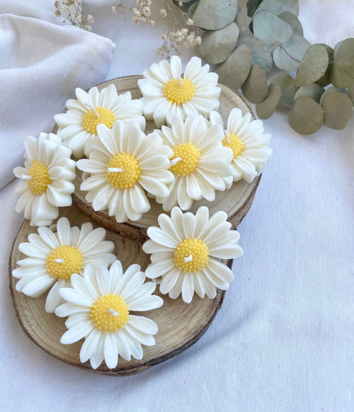 🕯️KIT "Margarita - 4 velas flotantes" "Caja de Luz"